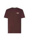 Oakley Sunny Rogue B1B Tee Grenache