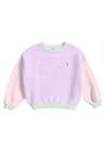 Baron B Crew Color Block Violet Pastel