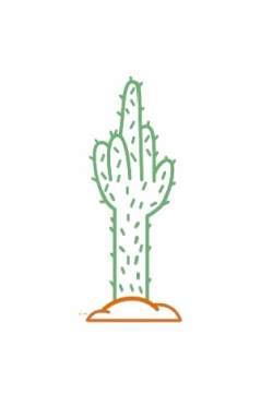 Baron T-Shirt Cactus Ivoire