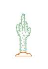 Baron T-Shirt Cactus Ivoire