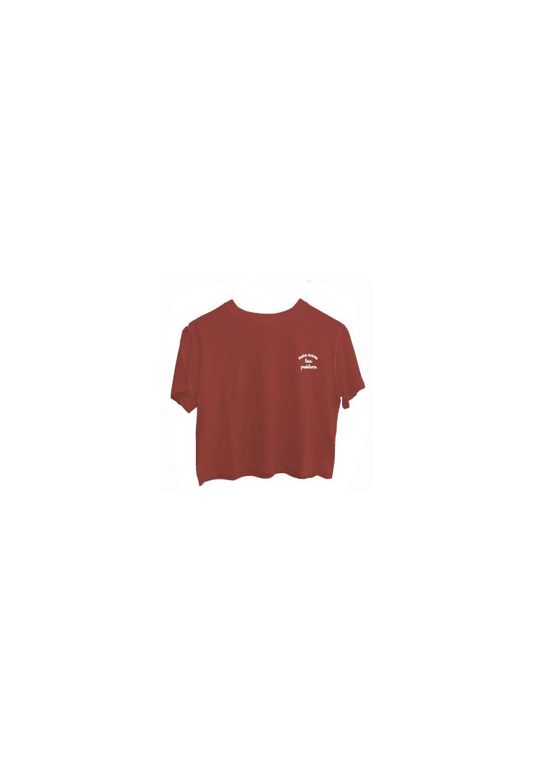 Baron W T-Shirt More Waves Terra Cotta