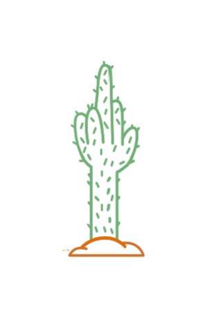 Baron T-Shirt Cactus Noir