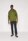 The North Face M Raglan Box Nse Hoodie Woodland Green