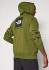 The North Face M Raglan Box Nse Hoodie Woodland Green