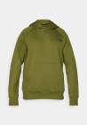 The North Face M Raglan Box Nse Hoodie Woodland Green