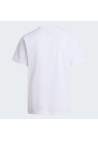 The North Face M Evolution Simple Dome Regular Ss Tee Tnf White