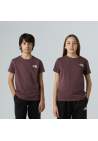 The North Face Teen Simple Dome Ss Tee Tawny Quartz