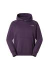 The North Face M Raglan Box Nse Regular Hoodie Endless Dusk