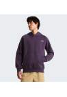 The North Face M Raglan Box Nse Regular Hoodie Endless Dusk
