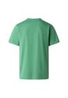 The North Face M Evolution Simple Dome Regular Ss Tee Dimmed Algae