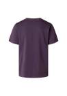 The North Face M Evolution Simple Dome Regular Ss Tee Endless Dusk