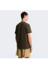 The North Face M Evolution Simple Dome Regular Ss Tee New Taupe Green