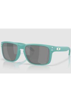 Oakley Holbrook Matte...