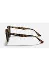 Ray-Ban Orb2180 Light Havana Dark Brown