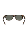 Ray-Ban New Wayfarer Tortoise Polar Green