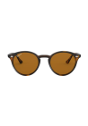 Ray-Ban Orb2180 Light Havana Brown Polar