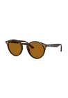 Ray-Ban Orb2180 Light Havana Brown Polar