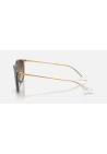 Ray-Ban Erika Transparent Light Brown Gradient Brown