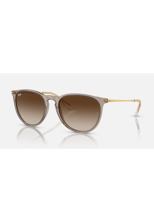 Ray-Ban Erika Transparent Light Brown Gradient Brown