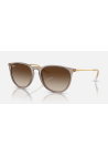 Ray-Ban Erika Transparent Light Brown Gradient Brown