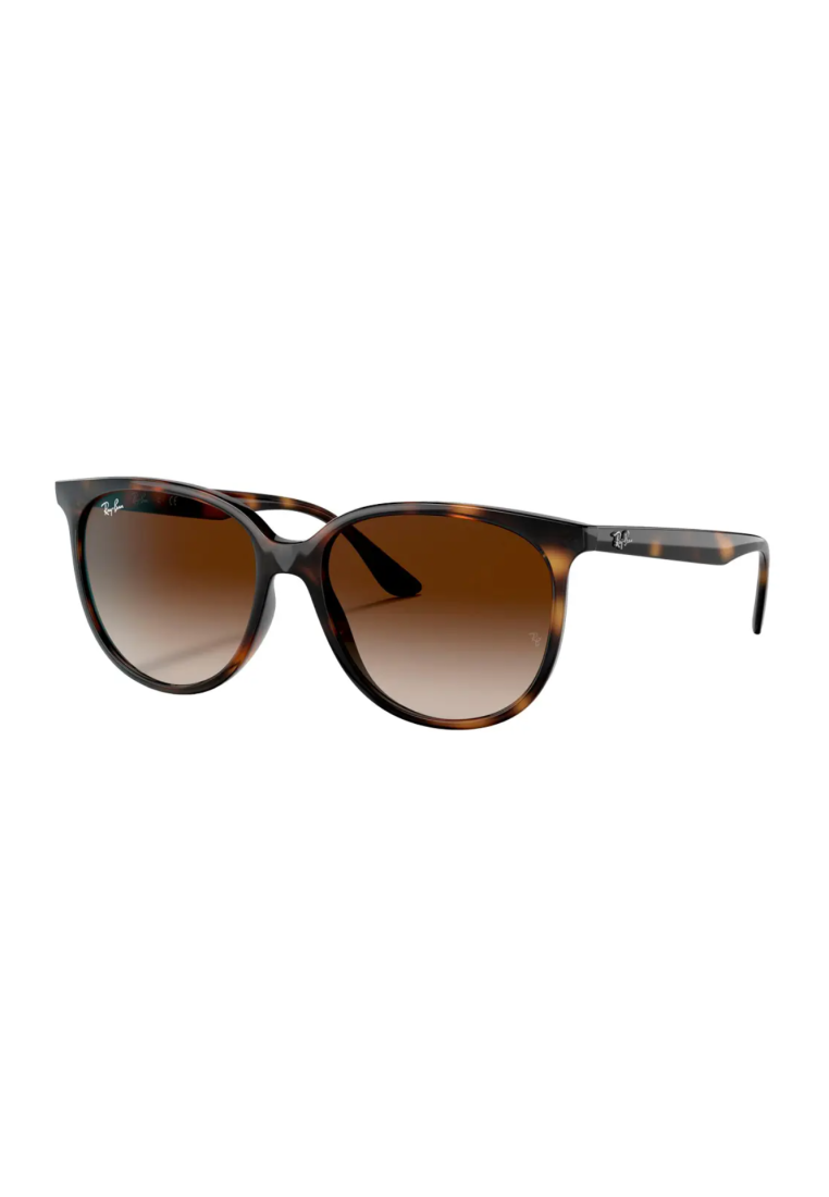 Ray-Ban Orb4378 Havana Gradient Brown
