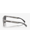 Oakley Frogskins Range Titanium Prizm Black Pola
