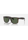 Ray-Ban Justin Rubber Havana Dark Green Polar