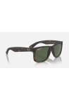 Ray-Ban Justin Rubber Havana Dark Green Polar
