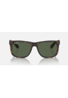 Ray-Ban Justin Rubber Havana Dark Green Polar