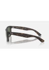 Ray-Ban Justin Rubber Havana Dark Green Polar