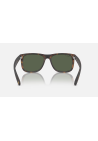 Ray-Ban Justin Rubber Havana Dark Green Polar