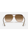 Ray-Ban Bill Havana On Transparent Brown Clear Gradient Brown