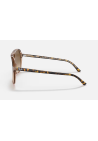 Ray-Ban Bill Havana On Transparent Brown Clear Gradient Brown
