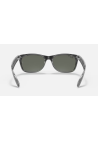 Ray-Ban New Wayfarer Black On Transparent Polar Green