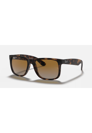 Ray-Ban Justin Rubber Havana Grey Gradient Brown