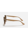 Ray-Ban Turtledove Brown Gradient Dark Brown