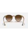 Ray-Ban Turtledove Brown Gradient Dark Brown