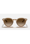 Ray-Ban Turtledove Brown Gradient Dark Brown