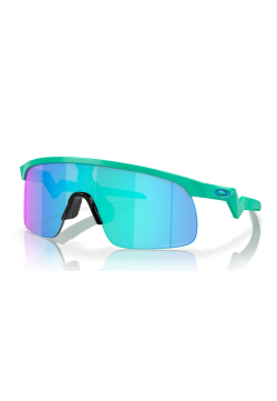 Oakley Resistor Matte...
