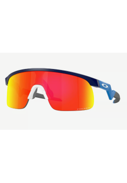 Oakley Resistor Matte Navy...