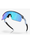 Oakley Resistor Blue Steel Prizm Sapphire