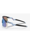 Oakley Resistor Blue Steel Prizm Sapphire