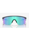 Oakley Resistor Blue Steel Prizm Sapphire