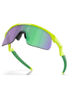 Oakley Resistor Retina Burn Prizm Jade