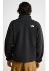 The North Face M Tnf Fleeski 1/4 Zip Po Tnf Black Tnf Black