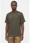 The North Face M Yosemite Oak Box Nse Regular Ss Tee New Taupe Green