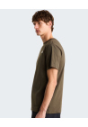 The North Face M Box Nse Celebration Regular Ss Tee New Taupe Green