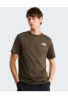 The North Face M Box Nse Celebration Regular Ss Tee New Taupe Green