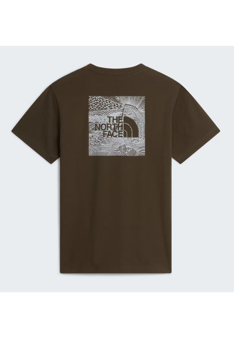 The North Face M Box Nse Celebration Regular Ss Tee New Taupe Green