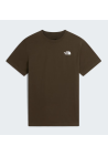 The North Face M Box Nse Celebration Regular Ss Tee New Taupe Green